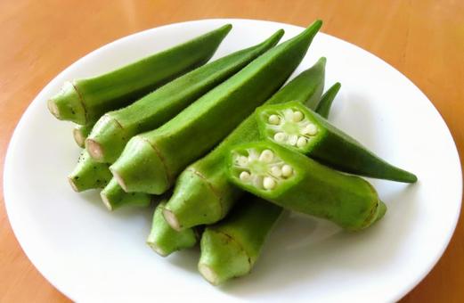 オクラ オクラ オクラ,野菜,サラダの写真素材