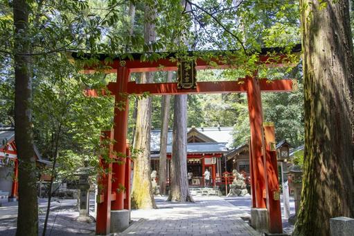 Photo, tsubaki grand shrine, minegishi shrine, a shrine, 