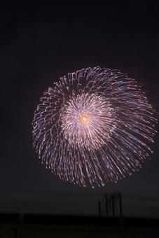 夏の夜空を彩る大輪の花火 花火,夜空,夏祭りの写真素材