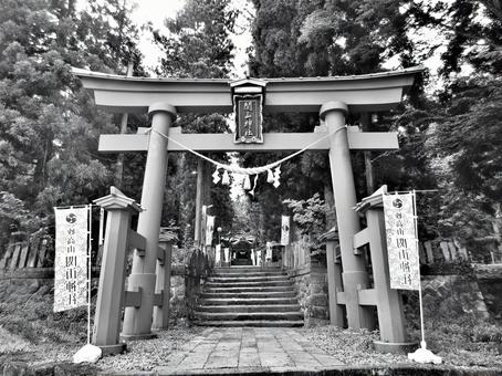 新潟県-関山神社-鳥居と参道-白黒 新潟県-関山神社-鳥居と参道-白黒 関山神社,神社,鳥居の写真素材