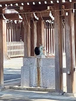 手水舎のカラス 手水舎のカラスの写真