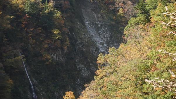 黒部峡谷に秋を訪ねて 秋,風景,自然の写真素材
