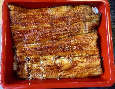 Photo, eel, no more, eel heavy, 