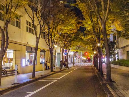 【兵庫県】神戸市・旧神戸居留地 旧神戸居留地,夜,夜景の写真素材