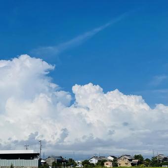 夏雲 夏雲の写真