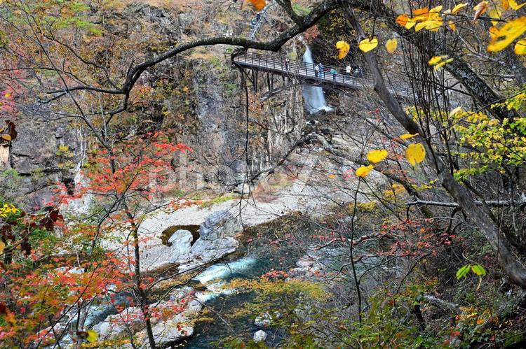 秋の龍王峡Ⅱ（栃木日光鬼怒川） 秋,紅葉,峡谷の写真素材