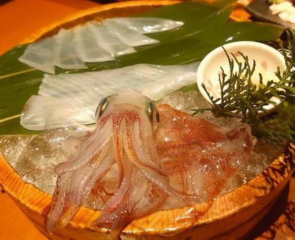 新鮮なイカ刺し 刺身・活造り 居酒屋 新鮮なイカ刺し 刺身・活造り 居酒屋の写真