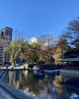 Autumn in the City, JPG