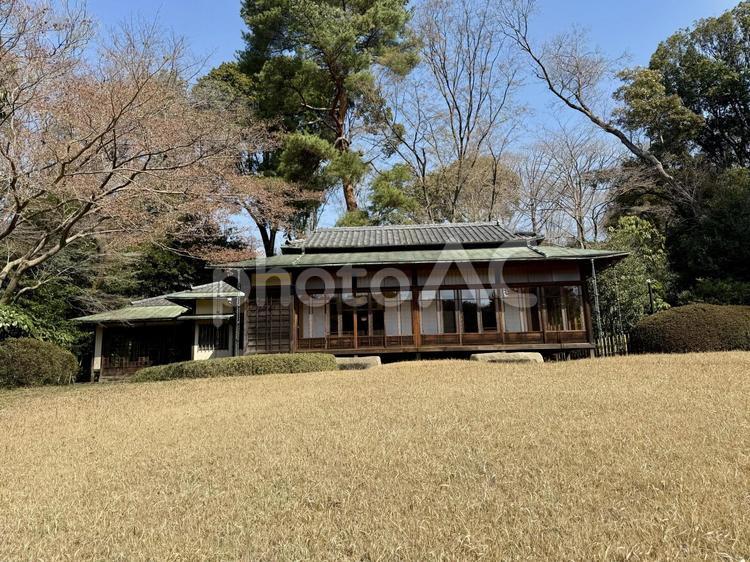 明治神宮　御苑　隔雲亭 数寄屋造り,松,森の写真素材