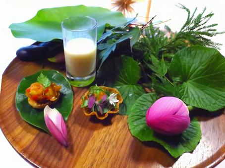 緑がいっぱいのカラフルな前菜盛り 緑がいっぱいのカラフルな前菜盛りの写真