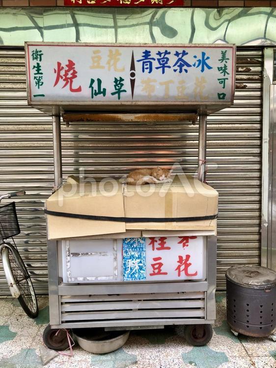 台湾の猫のお昼寝 猫,ネコ,トラ猫の写真素材