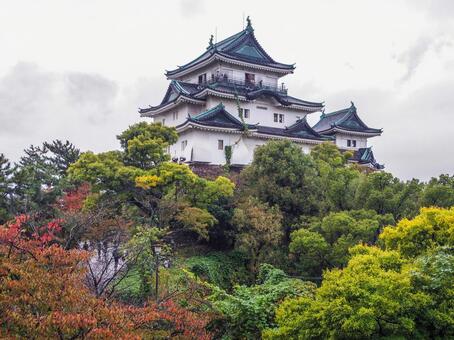 【和歌山県】和歌山市・和歌山城 和歌山城,和歌山市,和歌山県の写真素材