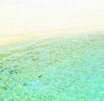 奄美 タエン浜 奄美 タエン浜の写真