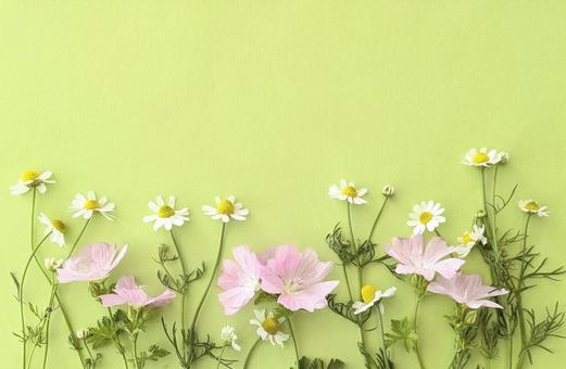 Flower frame on green background, JPG Flower frame on green background, JPG