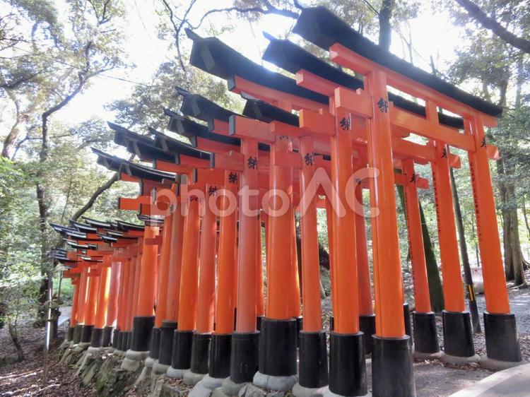 伏見稲荷大社 伏見稲荷大社,神社,稲荷の写真素材