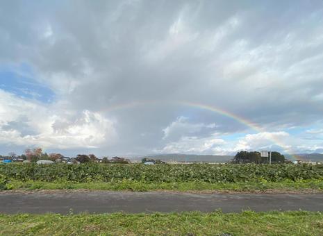 田舎の風景・田畑にかかる虹 田舎の風景・田畑にかかる虹の写真