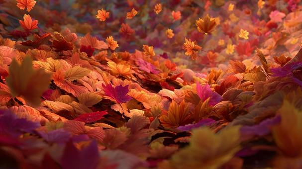 秋の紅葉：鮮やかな葉のクローズアップの写真