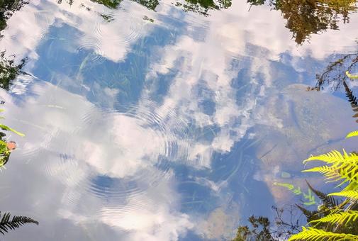 池 池 鏡面反射,癒やし,池の写真素材