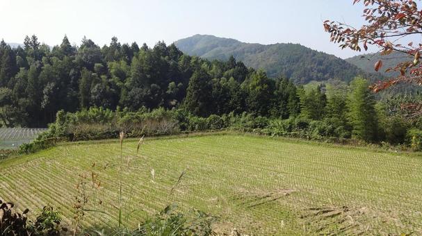 10月 稲刈り後の田んぼ 5 10月 稲刈り後の田んぼ 5 里山,田んぼ,10月の写真素材