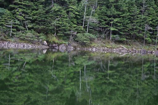 Photo, reflection, woods, mountain, 