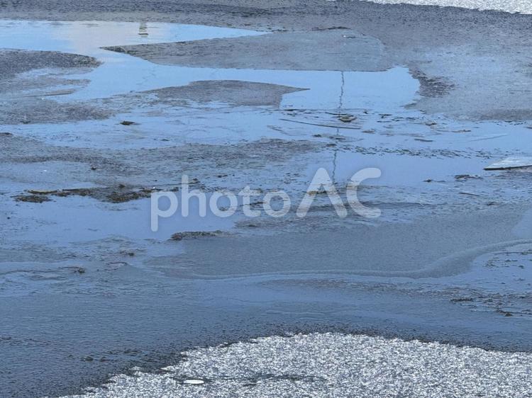 長野県塩尻市　えびの子水苑 えびの子水苑,冬,氷の写真素材