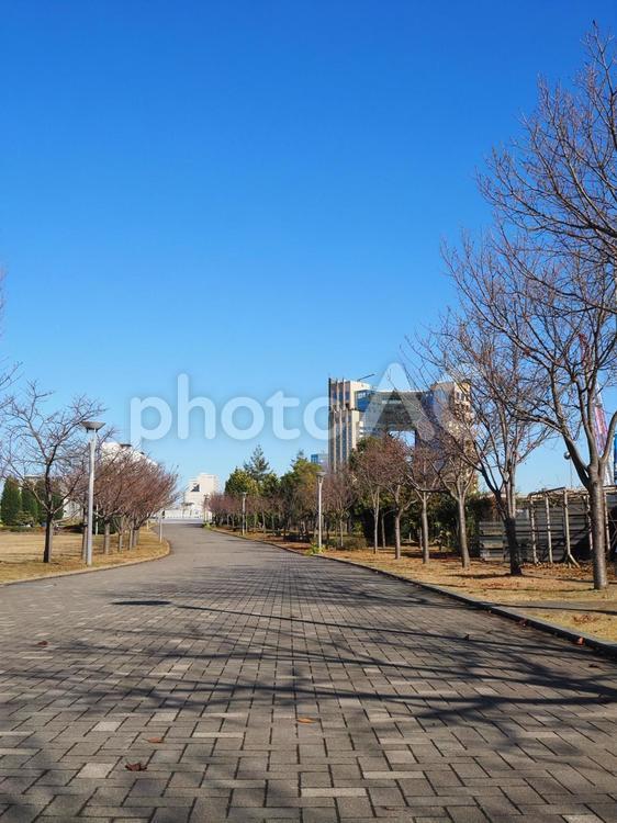 東京お台場・東京テレポート駅付近の散歩道 冬,お台場,遊歩道の写真素材