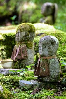 大原三千院の地蔵 大原三千院の地蔵 日本庭園,木漏れ日,木の写真素材
