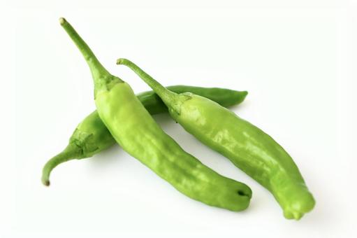 ししとう ししとう,野菜,食材の写真素材