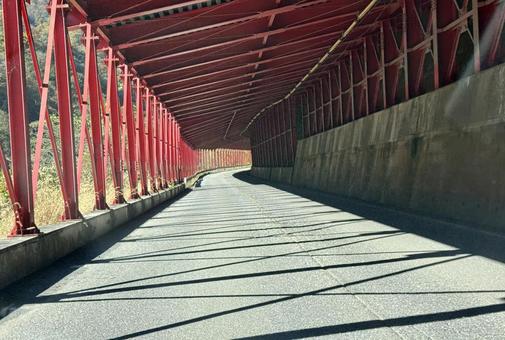 秋の山奥の道路　福井県大野市九頭竜川周辺 スノーシェッド,トンネル,道路の写真素材