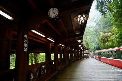 台湾 阿里山 国家森林遊楽区 台湾 阿里山 国家森林遊楽区 台湾,阿里山,国家森林遊楽区の写真素材