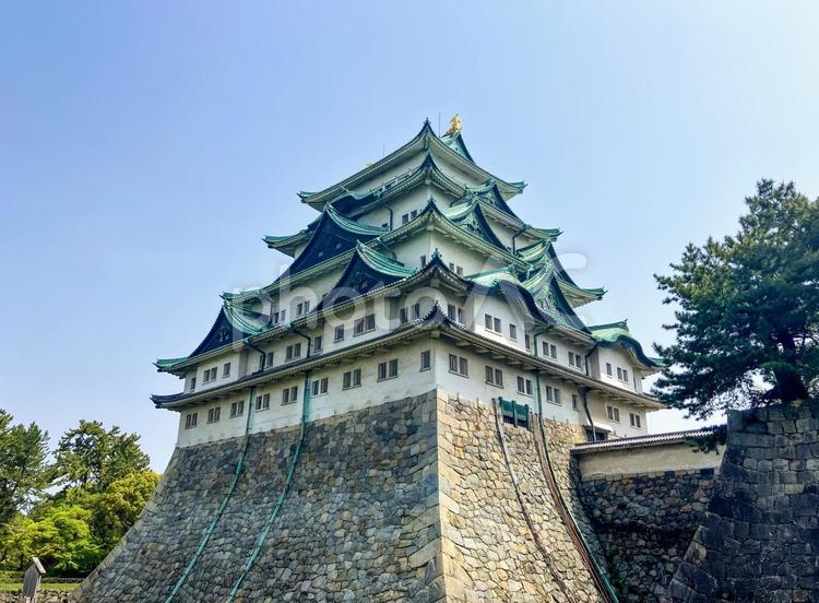 名古屋城の風景 名古屋城,名古屋,城の写真素材