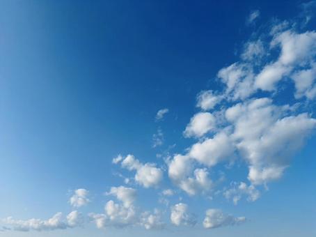 夏の雲 夏の雲の写真
