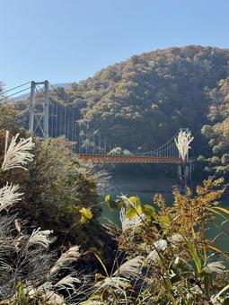 九頭竜川夢のかけはし　箱ヶ瀬橋　福井県秋 大野市,夢のかけはし,吊り橋の写真素材