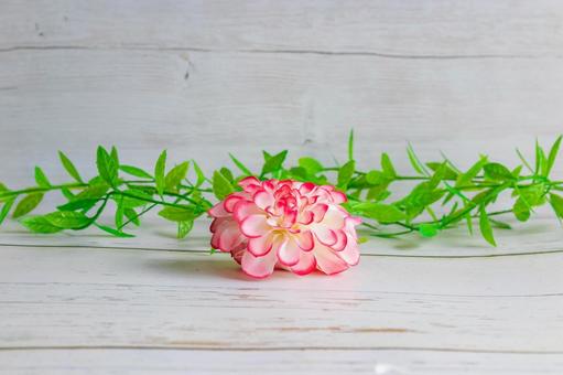 シンプルな赤い花のインテリア 赤い花,観葉植物,緑の写真素材
