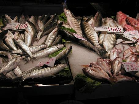 ベネチアの生鮮食料品店 魚屋 ベネチアの生鮮食料品店 魚屋 ベネチア,ヴェネツィア,イタリアの写真素材