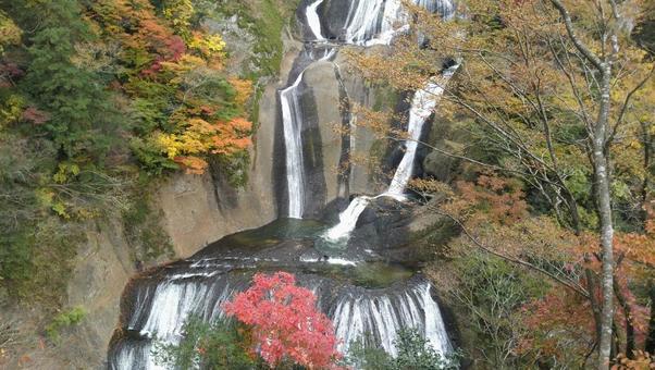 袋田の滝 袋田の滝,滝,自然の写真素材