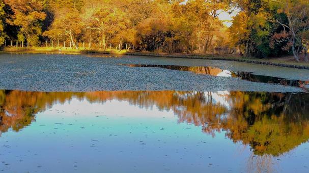 リフレクション 冬,影,歩道の写真素材