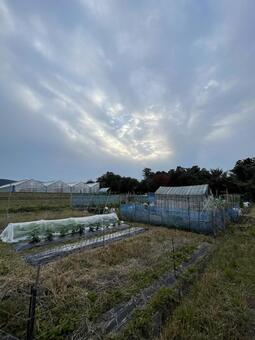 晩秋の田舎 山,空,緑の写真素材