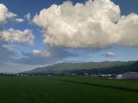 夏の雲と空と山と田んぼ（横）の写真