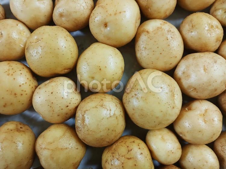 ジャガイモ　平置き ジャガイモ,野菜,食べ物の写真素材