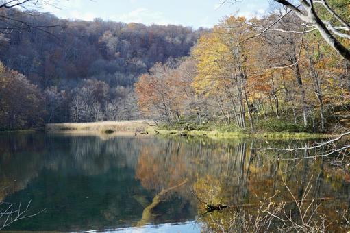 秋の湖と紅葉の写真