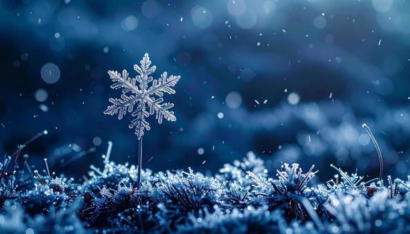 冬のイメージ画像 雪の結晶 冬のイメージ画像 雪の結晶の写真