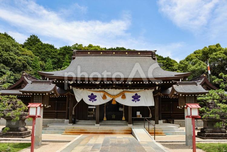 橘神社 橘神社,神社,建物の写真素材