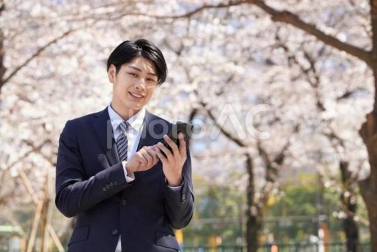 桜を背景に電話をする日本人ビジネスマン ビジネスマン,男性,笑顔の写真素材
