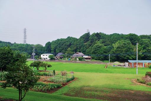 北関東の夏の田園風景 田園風景,水田,畑の写真素材