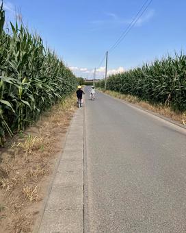 夏空の中、自転車でお出かけ 夏空の中、自転車でお出かけ 夏休み,道,自転車の写真素材