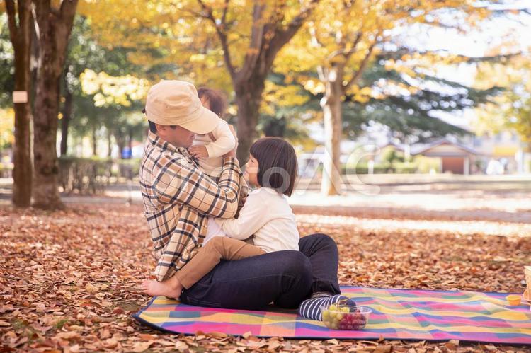 秋の公園でピクニックする家族・ファミリー イクメン,家族サービス,育メンの写真素材