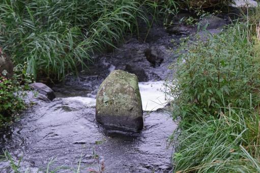砂防ダム 砂防ダム,ダム,水の写真素材