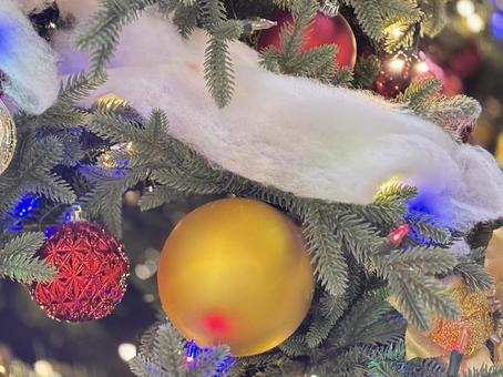 クリスマスツリー クリスマス,クリスマスツリー,ツリーの写真素材