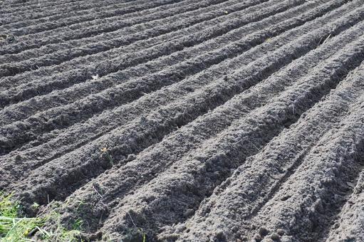 耕された畑 耕す,畑,屋外の写真素材